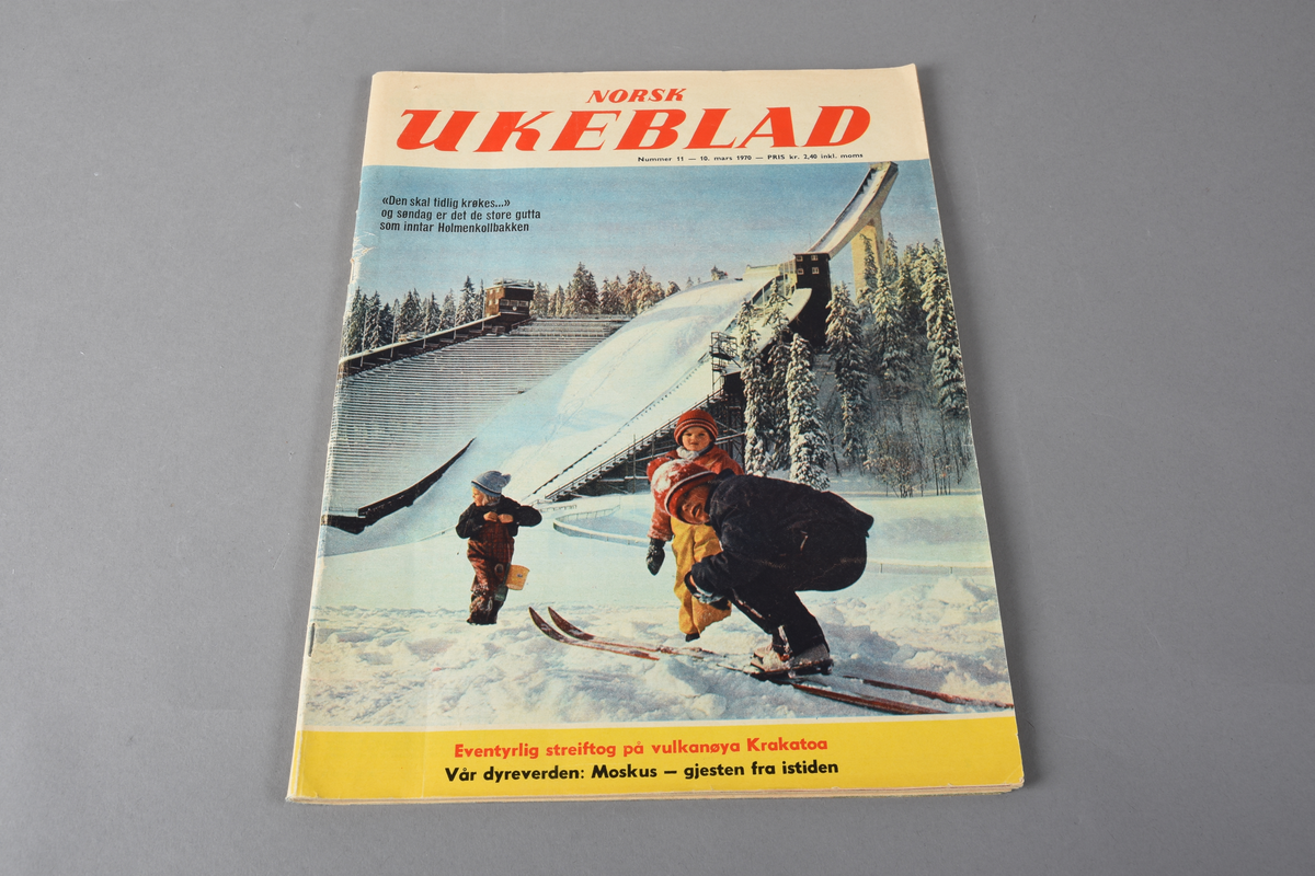 Heftet ukeblad i rektangulær form. 112 sider. Svart/hvitt-foto og fargefoto. Inneholder artikler, leserinnlegg, reklameannonser, noveller, informasjon om Håkonshallen m.m.