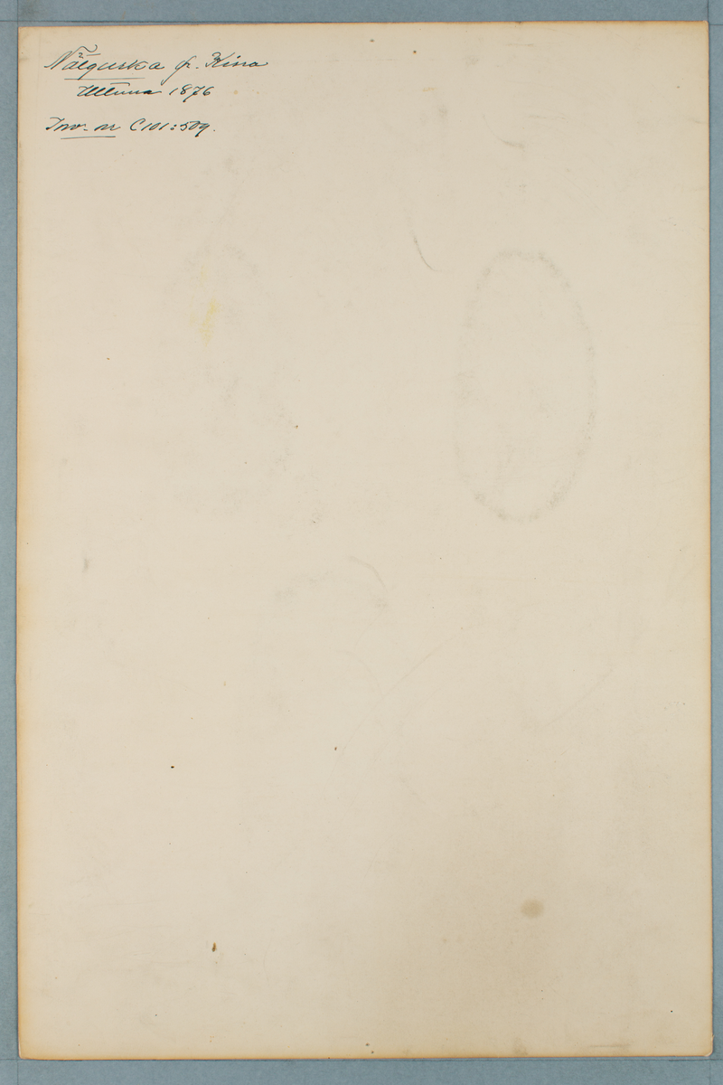 Sveriges kulturväxter. Illustration utförd av Henriette Sjöberg. Gurka, nätgurka, kort, brun från Kina. Odlad Ultuna 1876. Inv. nr. C101 : 509.