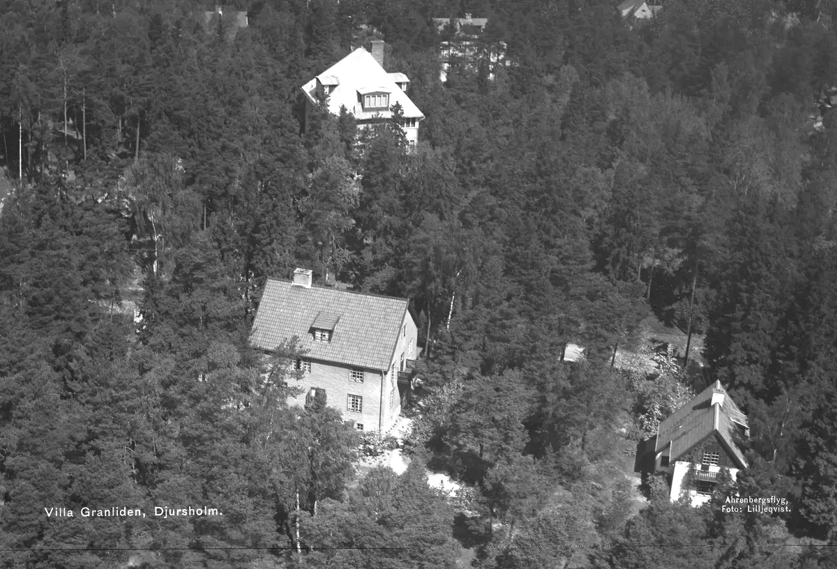 Flygfoto över Villa Granliden; Djursholm. I liggaren står det "Söderbaums villa".
