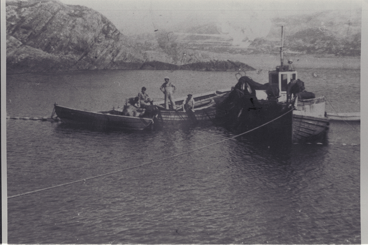 Båten M/B "Silden" H 10 V