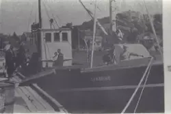 Båten M/B "Utnøring" H 76 M fortøyd ved brygga på Rossnesvåg