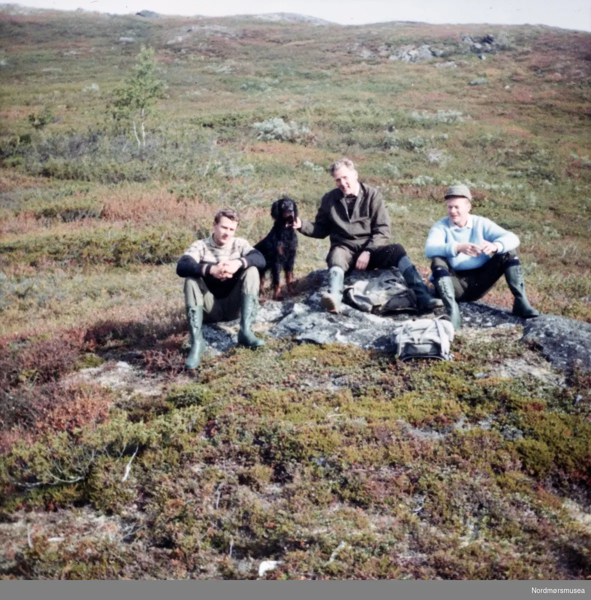 Jaktsesong. Muligens ved Jevillvatnet i Oppdal kommune. Negativet ble fremkalt i desember 1968. Fra Fru Williams fotoalbum. Eier av originalmaterialet er Gunnar Williams. Fra Nordmøre museums fotosamlinger.