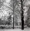 Blackstads kyrka bakom snötäckt landskap.