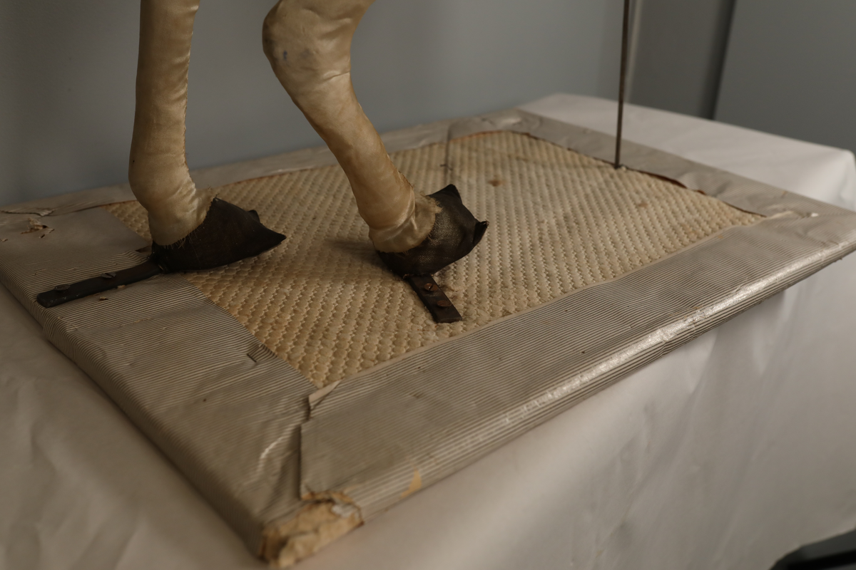 Utstillingsfigur montert på plate. Figuren er utformet som et reinsdyr i hvitt, silkeaktig stoff med brune klover og filtøyne. Geviret er surret inn med gullbånd og har sokler til lyspærer i taggene. Geviret er avtagbart. Reinsdyret har seletøy i rosa og lilla filt med gulltråd og runde metallplater. Juletrelysene til geviret er Philips 14v. Det stikker ender av ledninger ut av både kroppen og geviret. 

Reinsdyret består av flere deler:
a - kropp montert på plate med metallstøtte foran og bena skrudd fast bak. På et tidspunkt har noen stiftet fast papir over ytterkantene av det originalet stoffet.
b - gevir med plass til 8 lyspærer
c - gevir med plass til 7 lyspærer
d - løs pyntedusk
e - grå ledning
f til u - 16 lyspærer