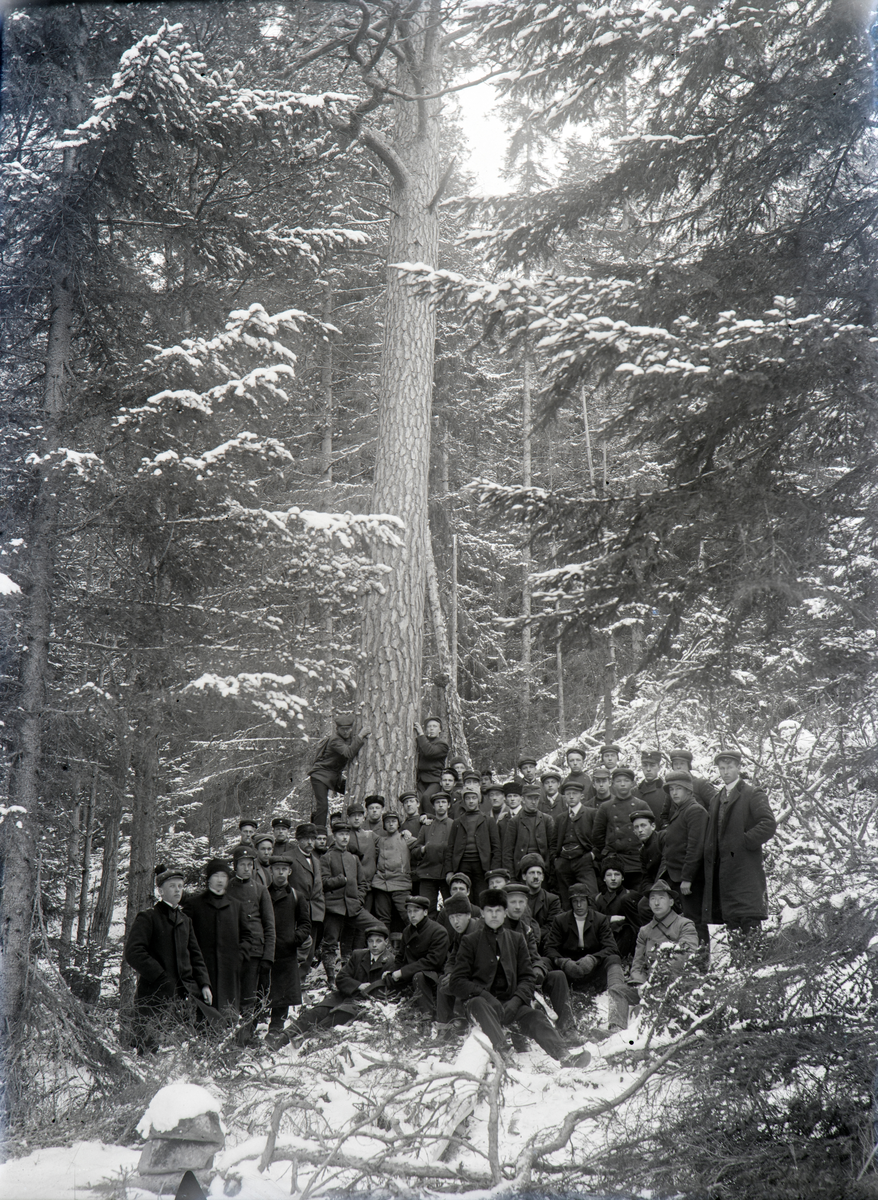 Stange, Romedal, Jønsberg Landbruksskole, skogdag med lærere og skoleelever, stor gruppe,