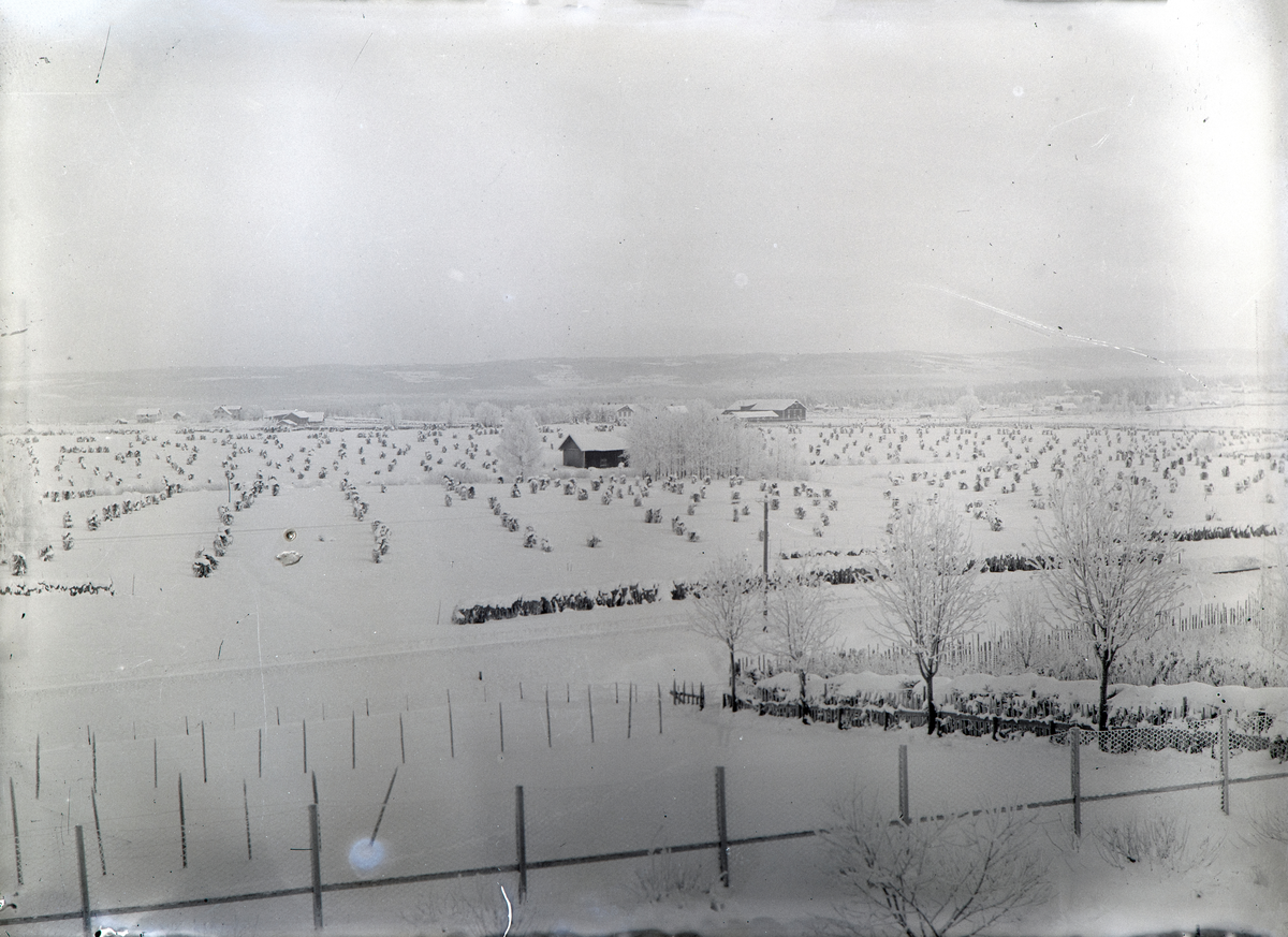 Stange, jordbrukslandskap, uåret 1907 med tidlig snø, kornavlingene ble ødelagt,
Lindstadgården sør for Stange stasjon, til høyre i bakgrunnen ser en mot Hagastuen og Lindstadsaga, huset i midten er Grimerudødegårdsløa, i forgrunnen i dag er området bebygd med Haugsveen & Fjeldstad og Felleskjøpet, Børdahl kan ha fotografert fra Halvorsens villa Østli,