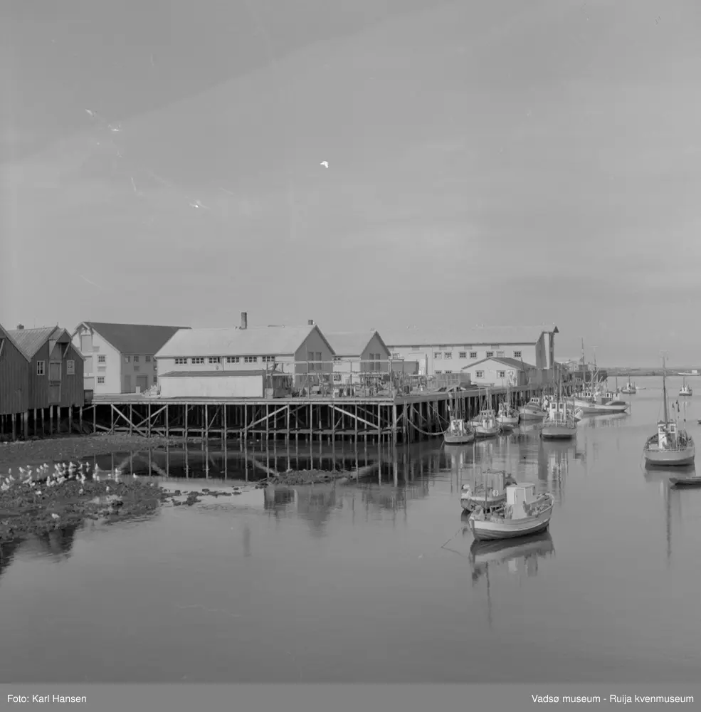 Statens fagskole for fiskeindustri, Vardø. Eksteriør. Kilde: "Lærebruket". Statens fagskole for fiskeindustri / Harald Normann og Pål Christensen. 1988.