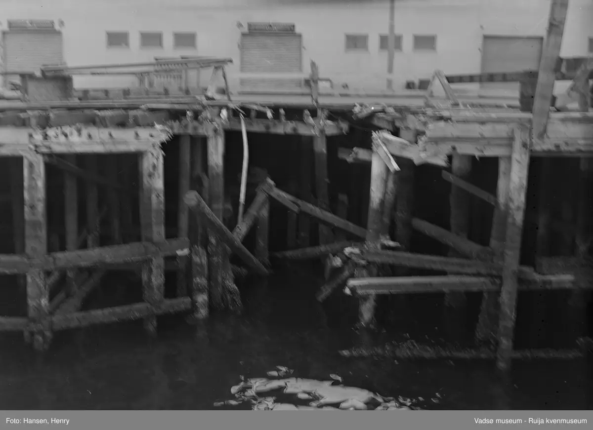 Vadsø 13 september 1951.  Torsdag 13 september 1951 gikk godsbåten  DS "Luna" tilhørende Bergenske Ds selskap med god fart inn i dampskipskaia i Vadsø. "Luna" var hele 6 meter inne i kaia før den stoppet opp. Kaidekket ble revet opp, men det ble ikke  skader på skipet. Havnefogden anslo skadene på kaia til ca 2-5000 kroner.
Kilde: Dagbladet "Finnmarken", lørdag 15 september 1951.