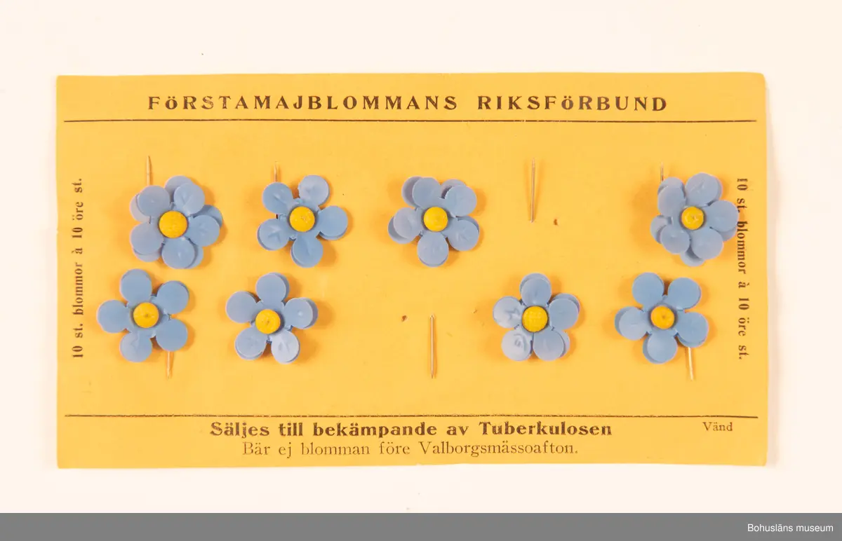 Majblommor samlade i en chokladkartong i papp med julmotiv på locket, märkt "Cloetta choklad". Arrangerat textilt band på locket. Mått avser chokladkartongens storlek.
Många lösa blommor samt kartor med fästade blommor finns förvarade i lådan.
Sex kartor med skiftande antal blommor fästade på; tre halva kartor eller delar av kartor. Fem andra papperslappar med fästade blommor.
Fyra kuvert finns i lådan varav tre med blommor i. På ett av kuverten står "Majblommor 1932"
Ett teckat ansikte finns där ögonen består av gula majblommor med röda knappar/ståndare. 
Mått på kartor av papper: 7,8 x 13,9 cm.

Text på kartornas framsida: 
FÖRSTAMAJBLOMMANS RIKSFÖRBUND. 
Säljes till bekämpande av Tuberkulosen. 
Bär ej blomman före Valborgsmässoafton. 
10 st. blommor à 10 öre st.
Vänd

Text på kartornas baksida: 
Utdrag ur Förstamajblommans Riksförbunds stadgar.
§ 2. Förstamajblommans idé är, att genom försäljning varje år 1:ste maj av en liten konstgjord blomma till 10 öre stycket, vilken blomma skall sagda dag bäras synlig, insamla penningar, som skola uteslutande användas till bekämpande av tuberkulosen.
§ 5. Varje lokalkommitté förfogar själv över de insamlade medlen i syfte, som i § 2 säges.
125 stycken intensivt röda blommor med svagt gröna eller beige foderblad är den s.k. Sanitetsblomman, en annan typ av välgörenhetsblomma, utgiven i Uddevalla mellan åren 1909?-1943 av Uddevalla arbetarekommun. Blommornas kronblad består av två lager utstansat ur celloluid-ark och tredimensionellt formade samt foderblad utstansade ur ett beige eller grågrönt tjockare papper. De var uppsatta i halvcirklar tolv och tolv på vita rektangulära papperskartongbitar. Nålar av mässing som har "pistill" av en gulröd liten klump av genomsiktligt material.

Blommorna ligger sedan maj 2011 i separat kartong av museistandard. 
Två blommor överlåtna till Bohusläns Föreningsarkiv den 6 maj 2011 för att förvaras tillsammans med det arkivmaterial som rör Sanitetsblomman.

Litteratur: 
Tornehed, Stig. Beda Hallberg och förstamajblomman (1982). LTs förlag, Stockholm i samarbete med Förstamajblommans Riksförbund.