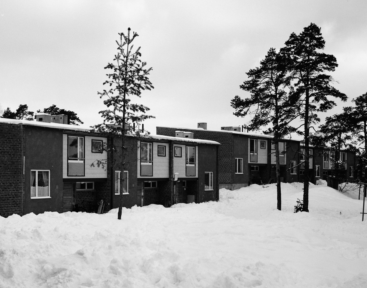 Radhusområde
Exteriör, vintertid i mulet väder.