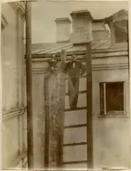 Motivet viser Ignazy Rostin poserende øverst i en trestige. 