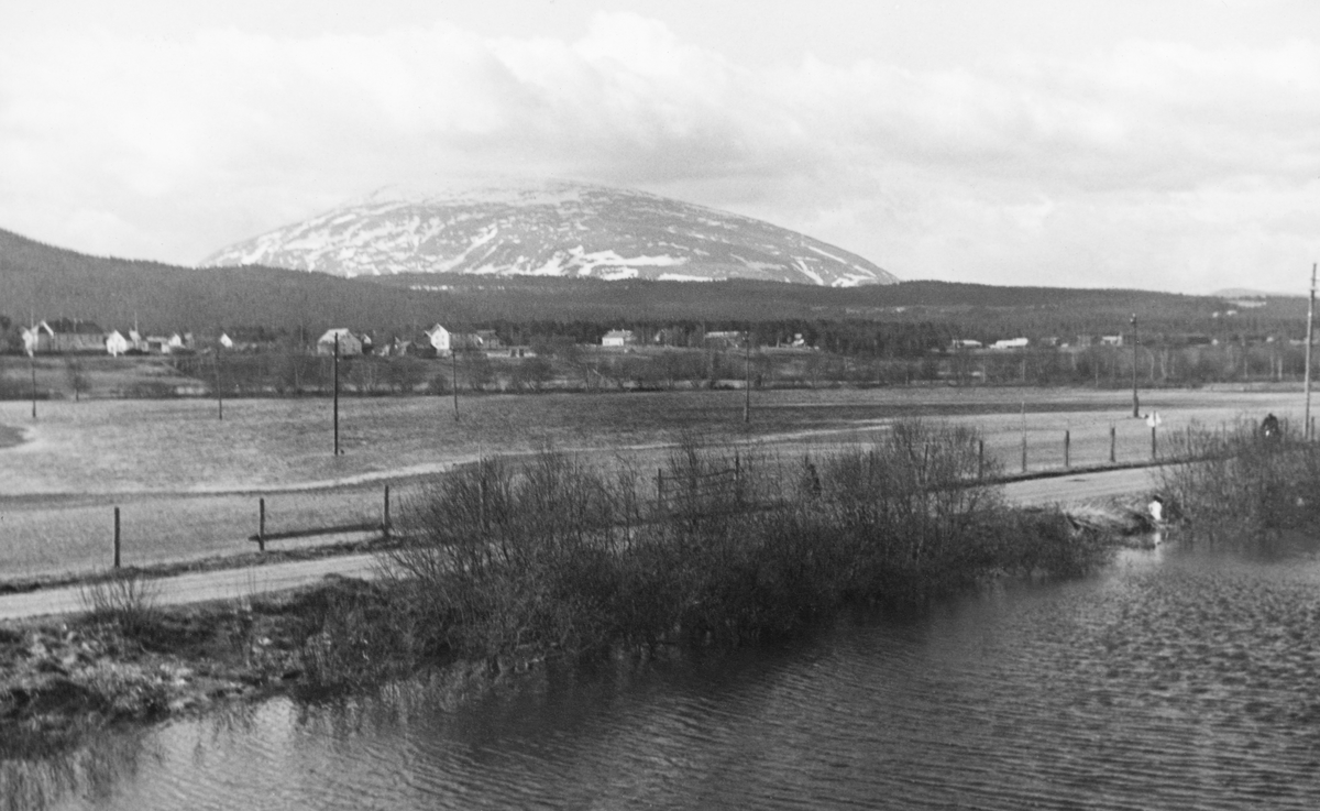 Utsikt mot stasjonsbyen Tynset i Nord-Østerdalen.  Fotografiet er tatt fra engene nede ved Glomma, som var delvis oversvømt av flomvann på det tidspunktet dette fotografiet ble tatt.  I forgrunnen en veg med litt buskas i vegskråningene, ellers omgitt av vann.  På bakkekammen ovenfor de oversvømte engene ser vi en del gardsbruk og annen bebyggelse like sør for Tynset sentrum.  I bakgrunnen ligger fjellmassivet Tron 1666 meter over havet. Da dette fotografiet ble tatt lå det fortsatt snø i revnene nedover fjellsidene mot nord og øst.