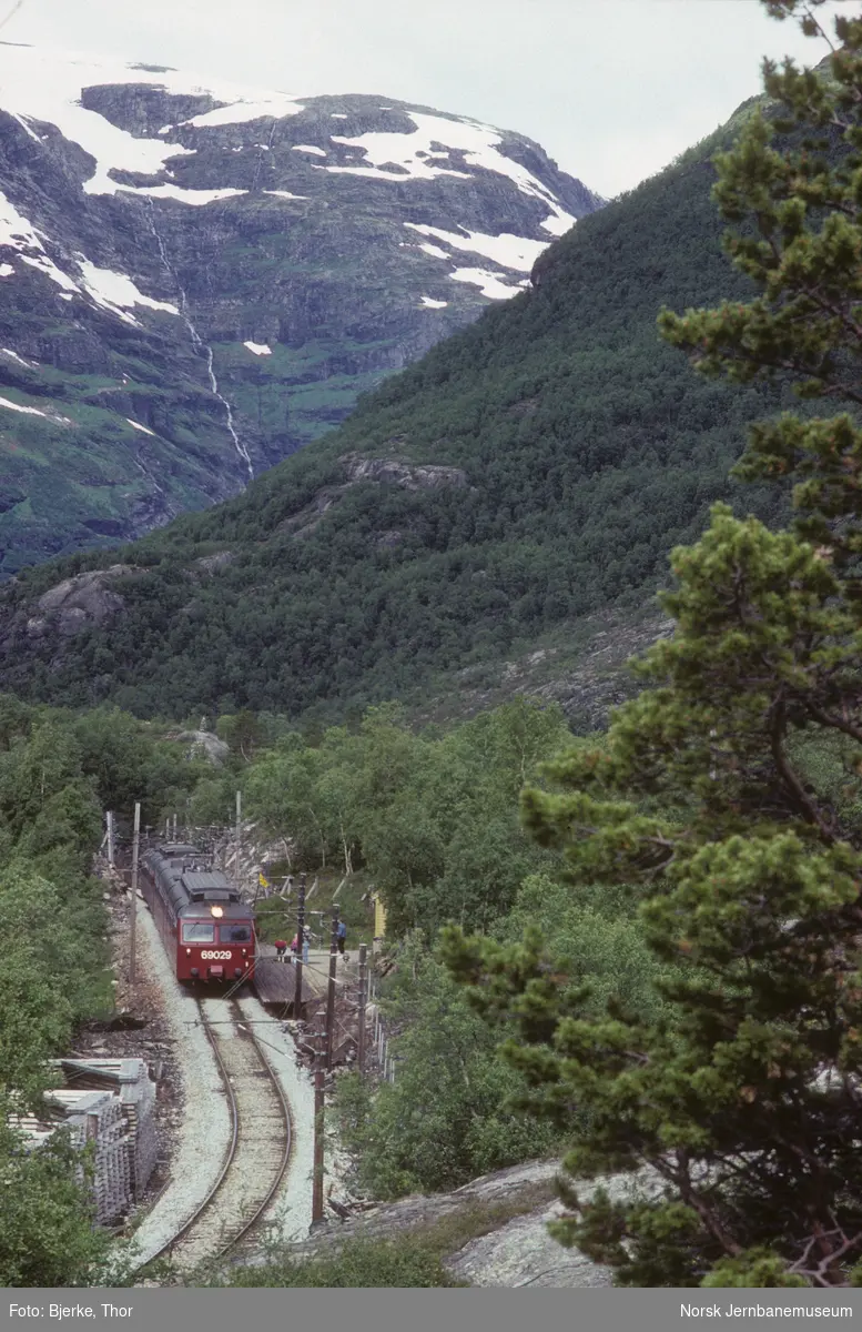 To motorvognsett type 69 med motorvogn BM 69 029 fremst i tog ved Reinunga  på Flåmsbana