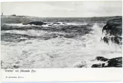 Tryckt text på kortet: "Svarten" och Måseskärs Fyr".