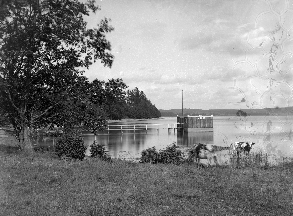 Motiv ur Linköpingsfotografen Didrik von Essens samling som besväras av både rörelseoskärpa såsom emulsionsskador. Dessutom vet vi inte var bilden är tagen. Ändå en stilfull och sannolikt unik dokumentation som vore spännande om den kunde klarläggas. Utmed sjön Roxens norra strand torde vara en rimlig placering. Enligt ett annat fotografi (1940) var badhus nämligen en tid placerat i Bergsbadet. Fototid omkring sekelskiftet 1900.
