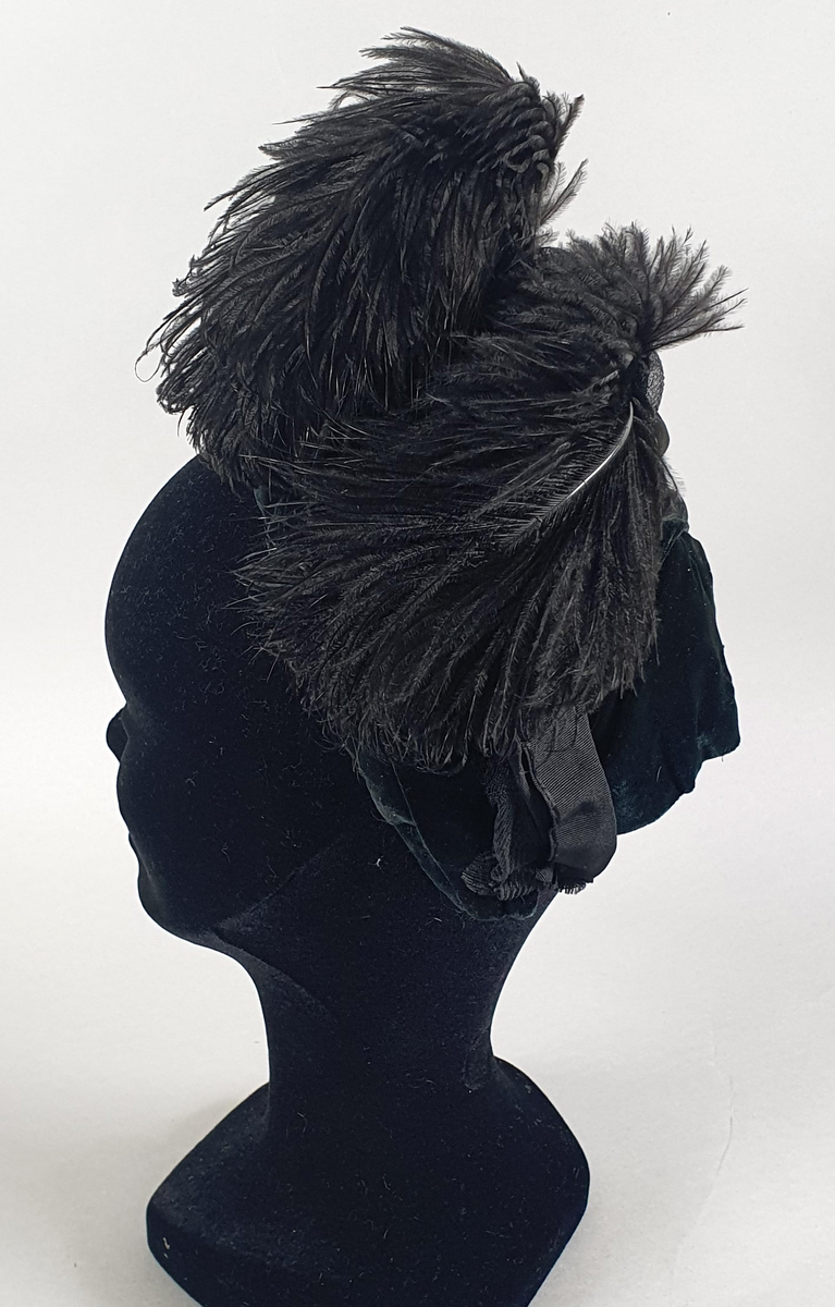 Svart damehatt av fløyel med tyll og strutsefjær, stivet opp med ståltråd. En hattenål er festet i kanten foran.