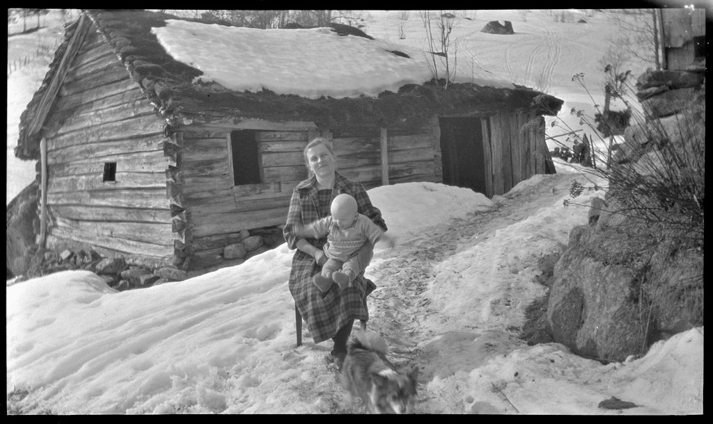 Kvinne, barn, snø, hund, hytte