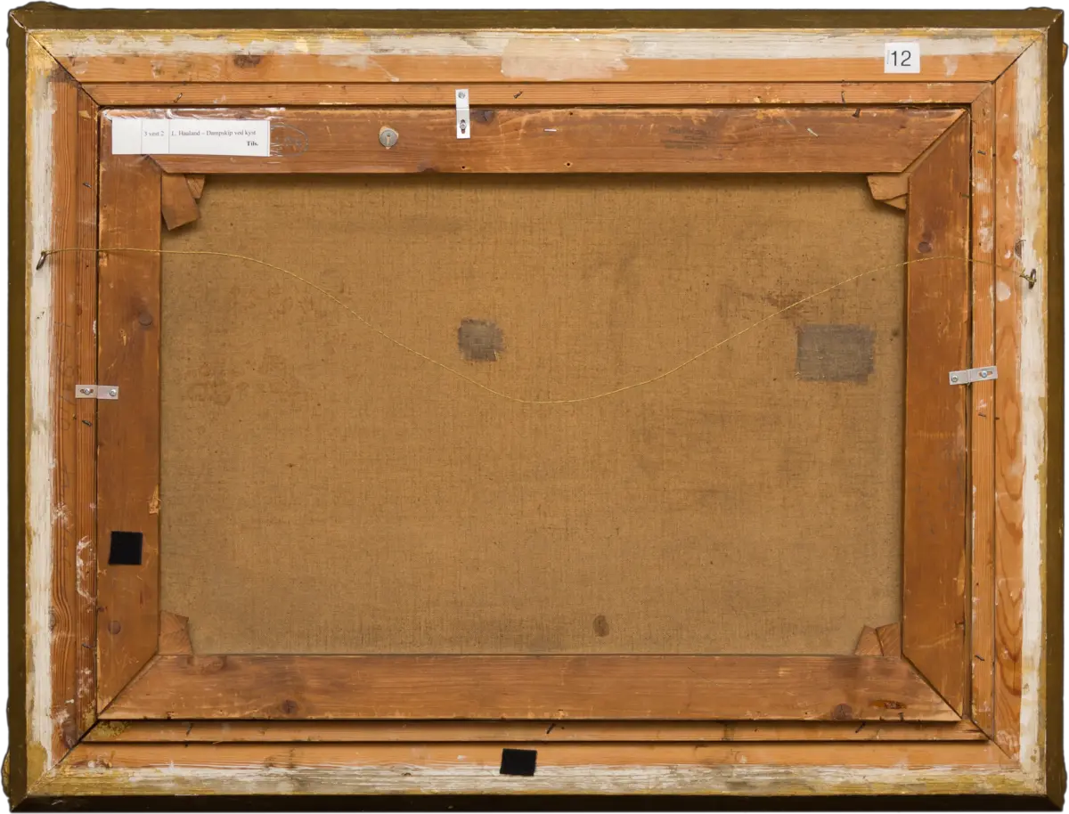 Dampskip ved kyst [Maleri]