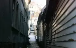 Bergen, Vestlandet, 1983