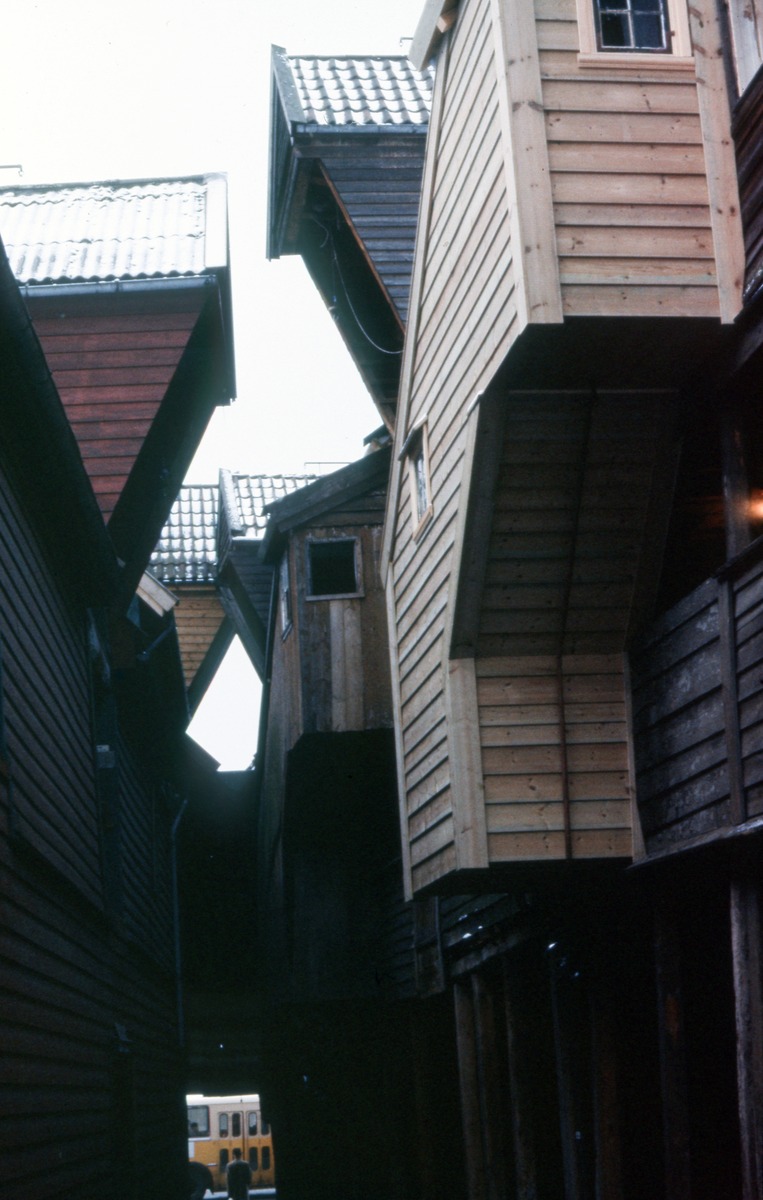 Bergen, Vestlandet, 1983