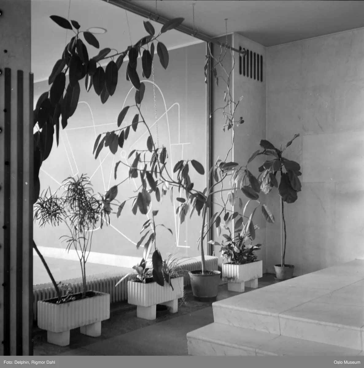 Helsedirektoratet, interiør, hall, planter