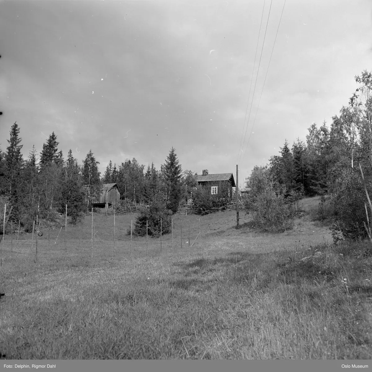 gård, kulturlandskap, skog