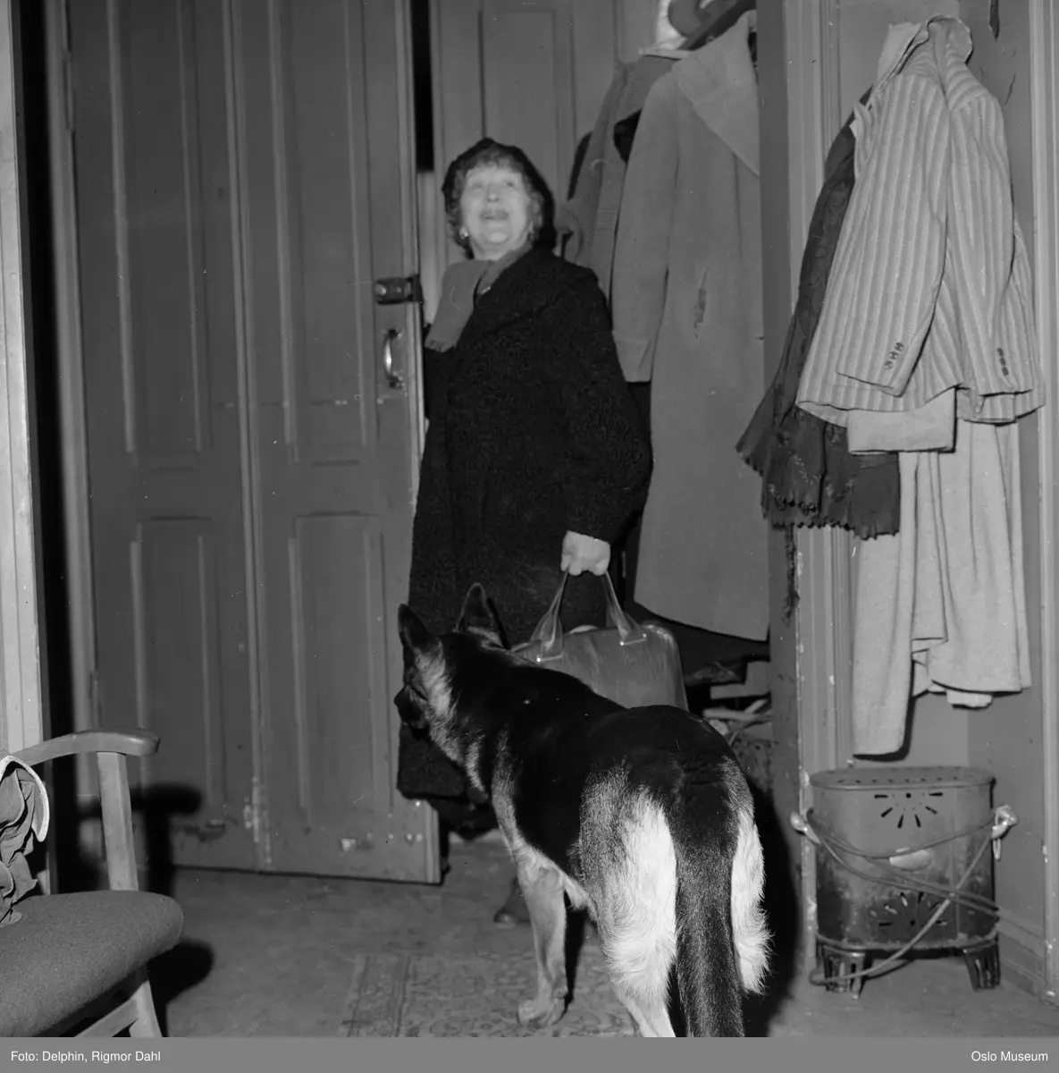 villa, interiør, kvinne, revyskuespiller, gang, hund