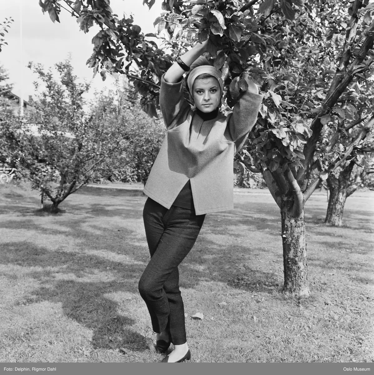 hage, kvinne, sangerinne, frukttrær