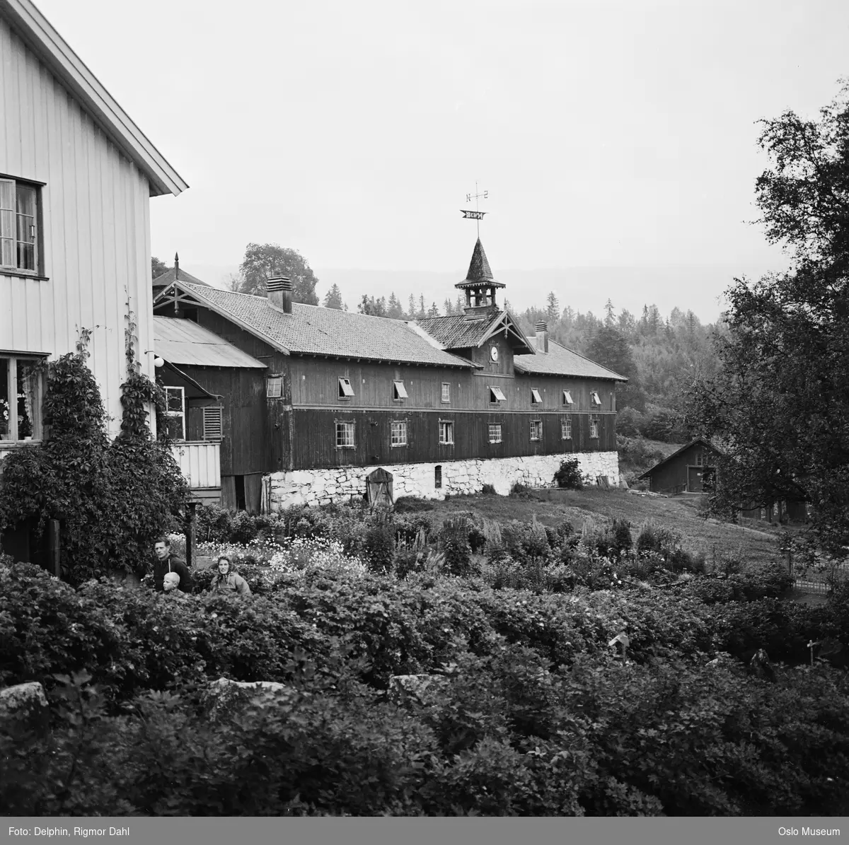 Aulestad gård, hage, fjøs