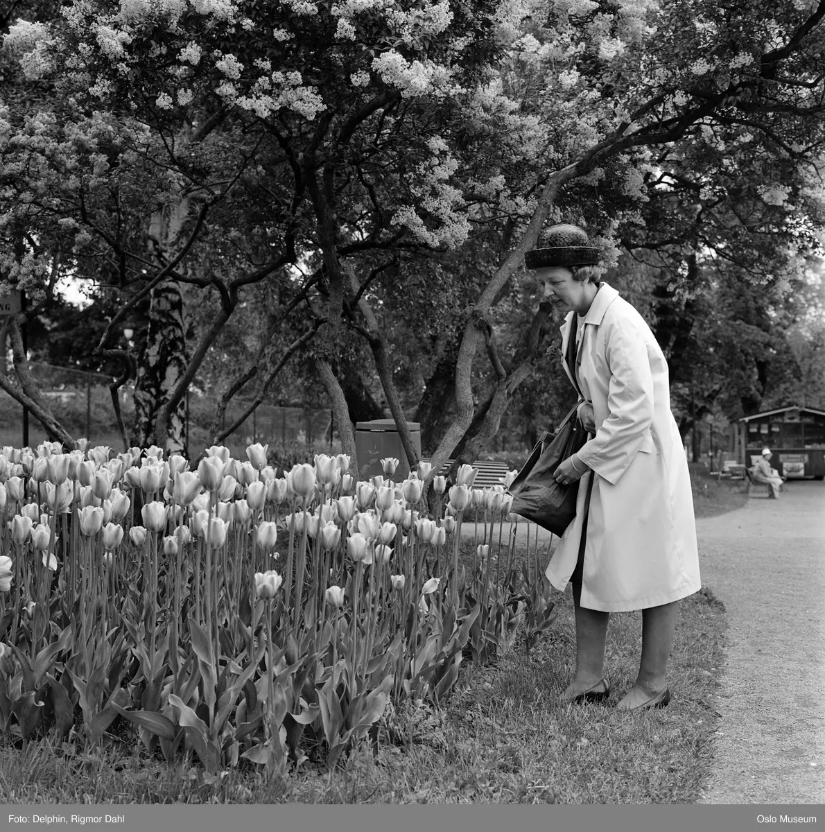 Form og Flora-utstillingen, park, blomsterbed, kvinne