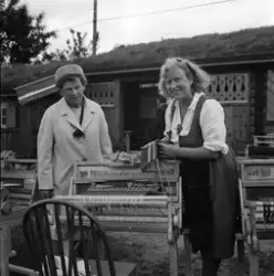 Form og Flora. Drømmedag med fire husmødre.