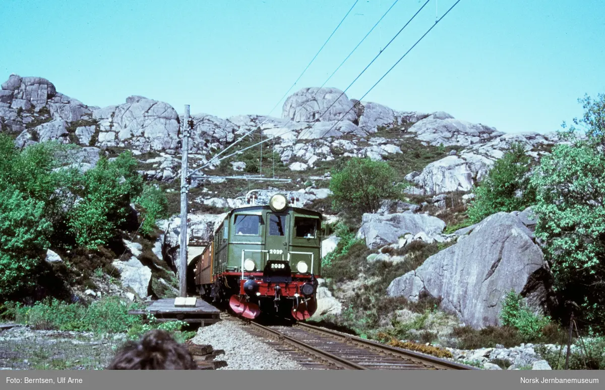 Elektrisk lokomotiv El 5 2039 med veterantog fra Stavanger til  Oslo Vestbanestasjon ved Maurholen holdeplass mellom Egersund og Hellvik