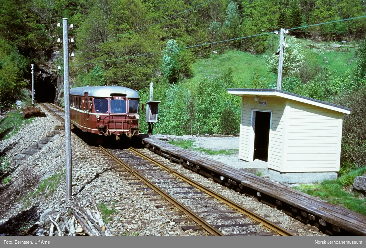 Dieselmotorvogn BM 87 05 ved Regevik holdeplass på Flekkefjordbanen