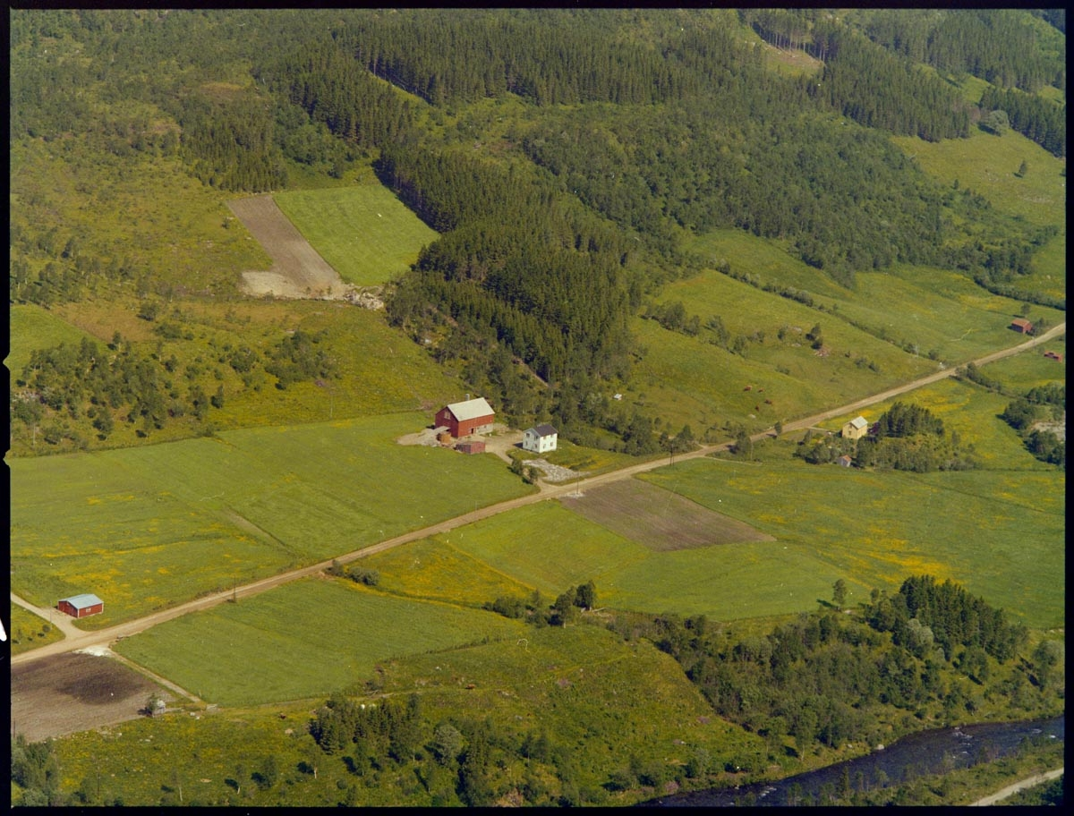 Leirfjord, Leira (Leirosen). Gården "Leireng", 64/8, her bodde Elly og Torleif Pedersen. Det lille gule huset nedenfor veien heter "Granlund", her bodde søstrene Olga og Konstanse Olsen, de var tantene til Torleif Pedersen. Den røde bygningen helt til høyre i bildet var løa til Dagny og Einar Leknes som bodde på Seljevollen. Leirelva nederst i høyre hjørnet.