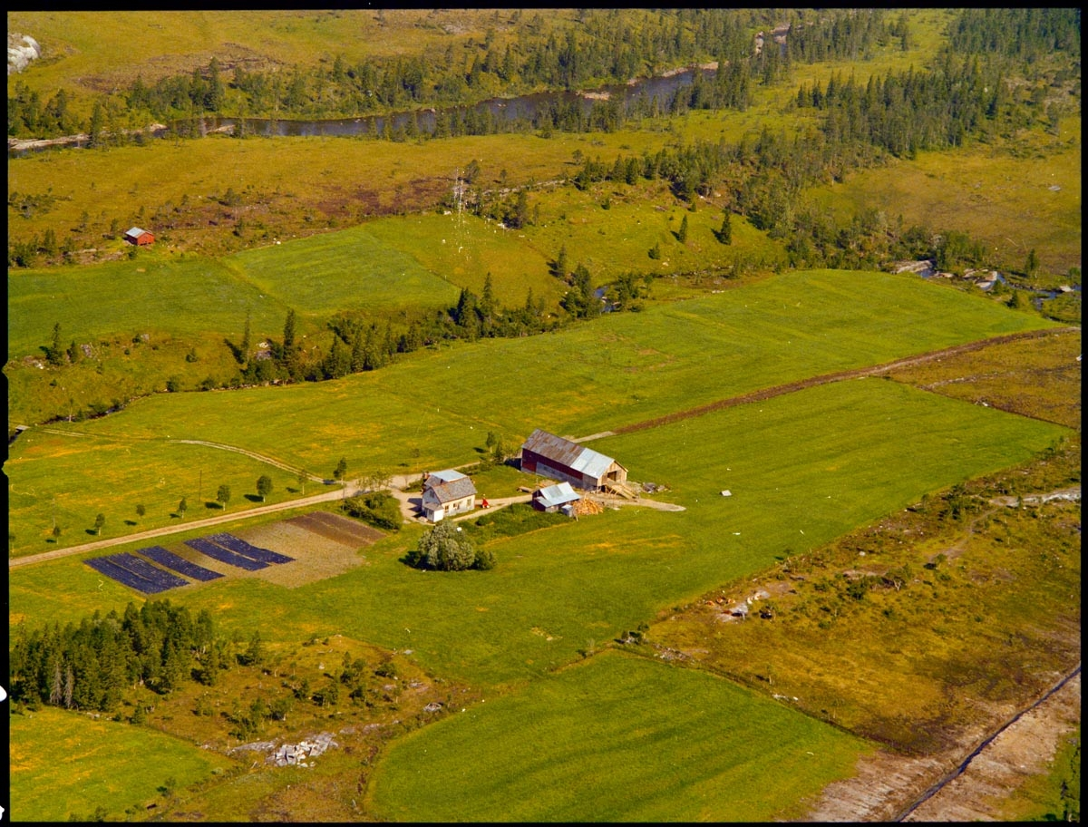 Leirfjord, Tovåsen. Flyfoto over deler av Tovåsen med Ranelva. Gården til Henry og Åsta Jørgensen på Tovåsen. Gården var et bureisningsbruk og ligger innerst på Tovåsen. Ranelva ligger bak i bildet.