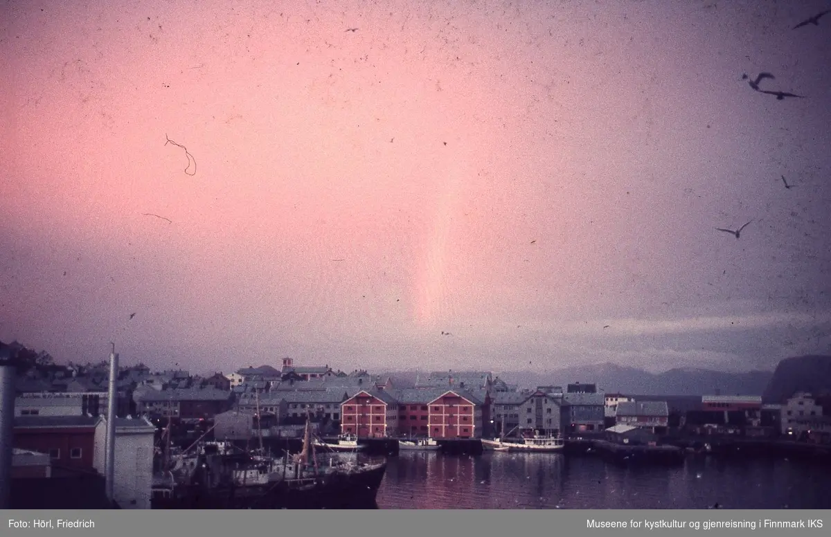 Utsikt over Hammerfest havn og sentrum. I havn ligger fiskebåter og trålere og himmelen er rosa. 