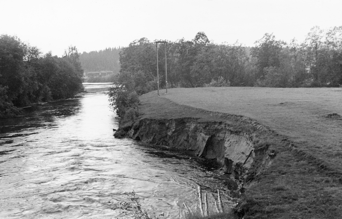 Fra Vingernoret, der vannet fra Vingersjøen renner gjennom en sandbanke mot Glomma i et meandrerende løp. Dette fotografiet ble tatt sommeren 1940, fra den da delvis istykkersprengte Norsbrua i medstrøms retning, altså mot Glomma. Det som har fanget fotografens interesse her er åpenbart en utrasning i elveskråningen til høyre i forgrunnen, en erosjonsskade som på sikt kunne true engarealet på elvebrinken.