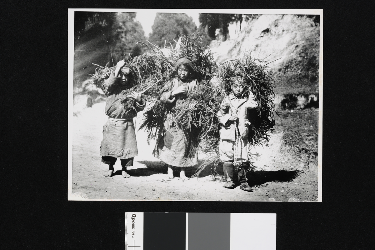 Barn i Sikkim. Fotografier tatt i forbindelse med Elisabeth Meyers reise til India 1932-33.