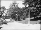 Stockholmsutställningen 1930
Parkpromenad med gatlyktor.