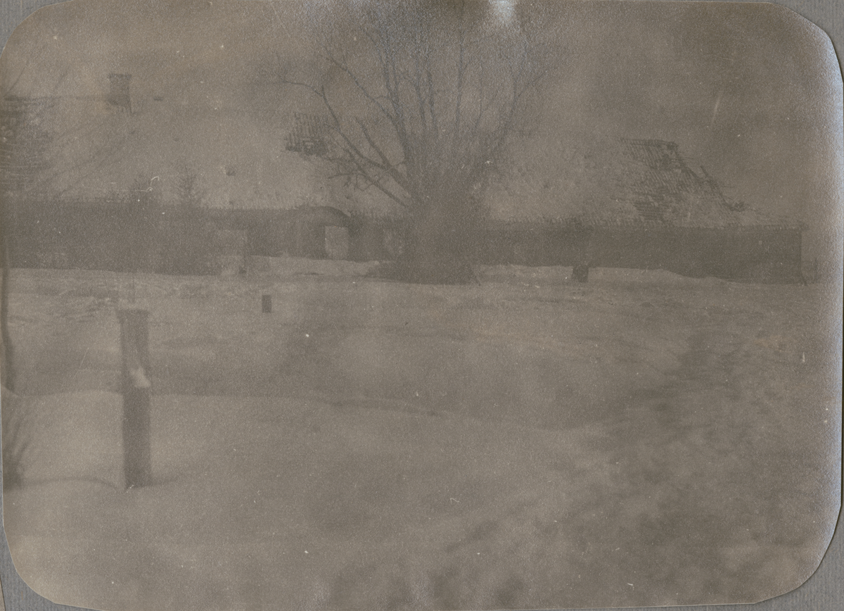 Text i fotoalbum: "Januari 1917 vid Olai. (Winterschlacht am der Aa med ryska tumeld och gasanfall). Se tidningsnotisen "Ett ryskt gasanfall på Rigafronten". Schulzenblocken, ganska illa åtgången af de ryska ganaterna, sköts senare alldeles i klump".