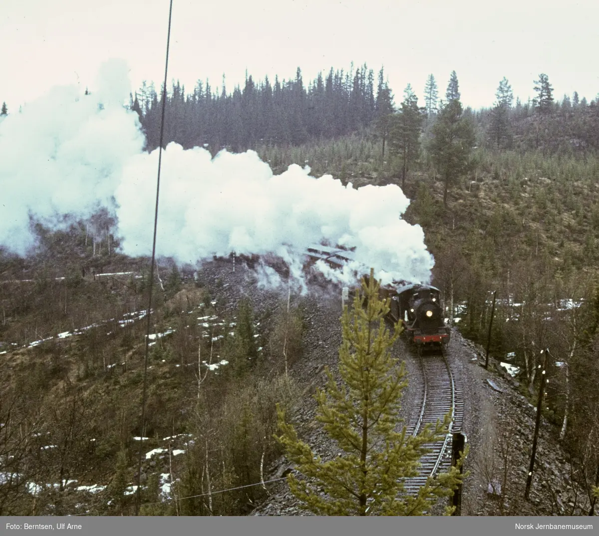 Damplokomotiv 24b 236 med veterantog mellom Høgberget og Tonsåsen på Valdresbanen