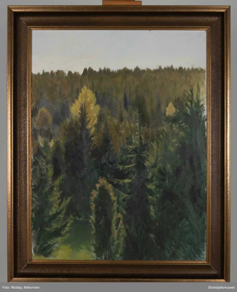 Det kan se ut som vårskog, med grantrær , og lysere løvtrær hvor lyset treffer. 