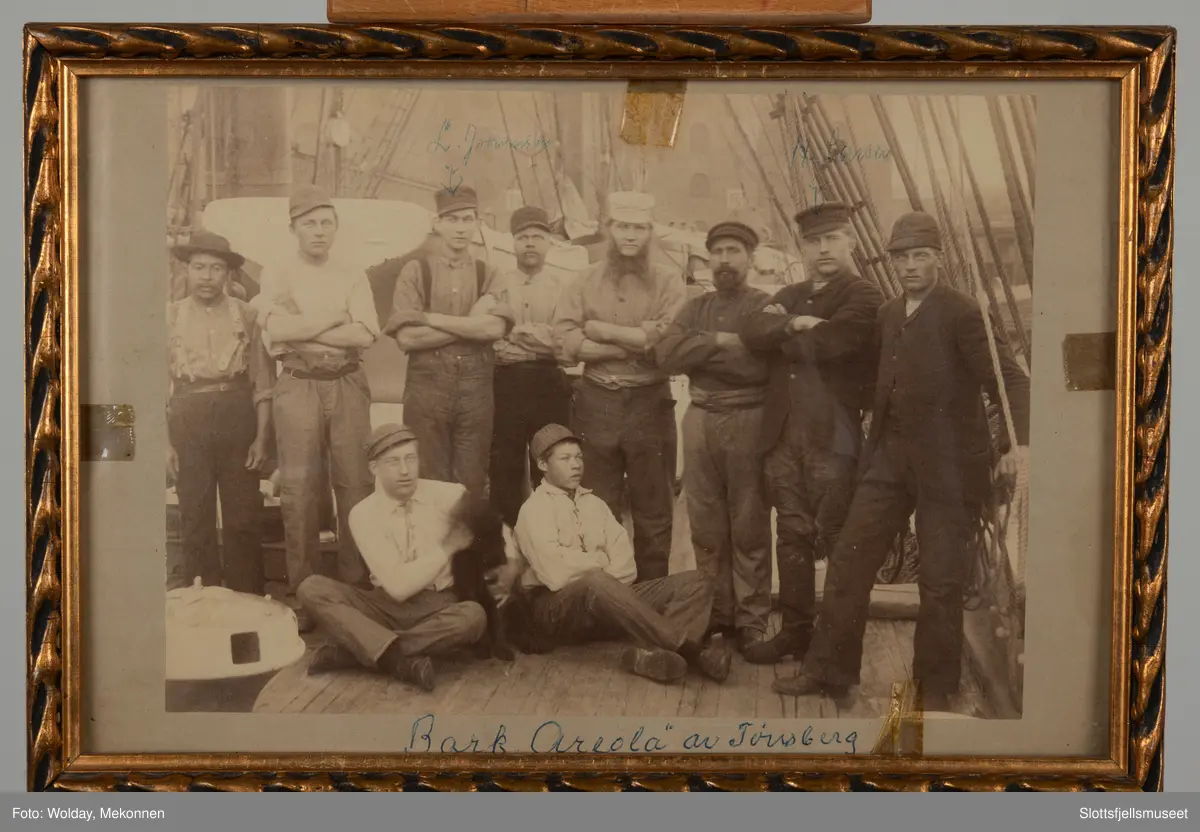 AREOLA
ex canadisk AREOLA T
Nasjon: Norsk
Type: Bark
Byggeår: 1877
Byggested: Portland, New Brunswick, Canada
Verft: Hilyard Bros.
Ombygging: Ombygget 1905.
Endelig skjebne: Solgt Danmark mai 1916 s.n.
Senket nord for Doggerbank 1917.