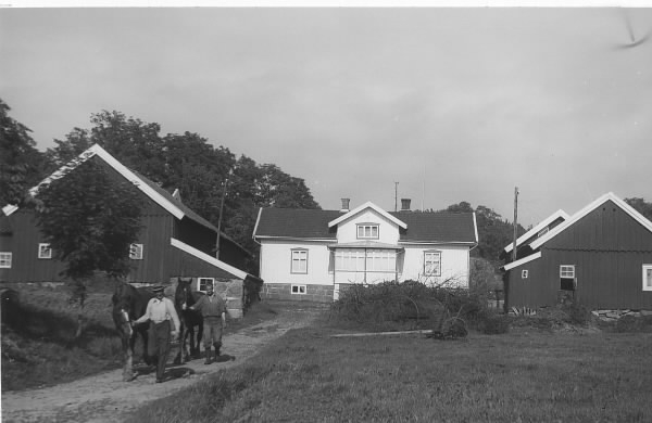 Arbetskarlar kommer gående med hästar vid Ysby gård i Vallda.