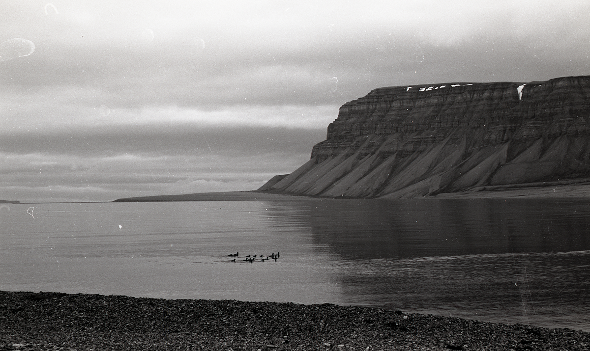 Ender i Tempelfjorden. Tempelet og Bjonahamna i bakgrunnen. 