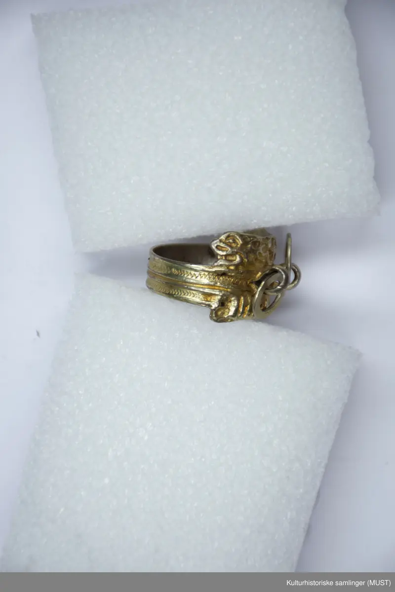 Ring som utvider seg til en plate med to ringer i front.