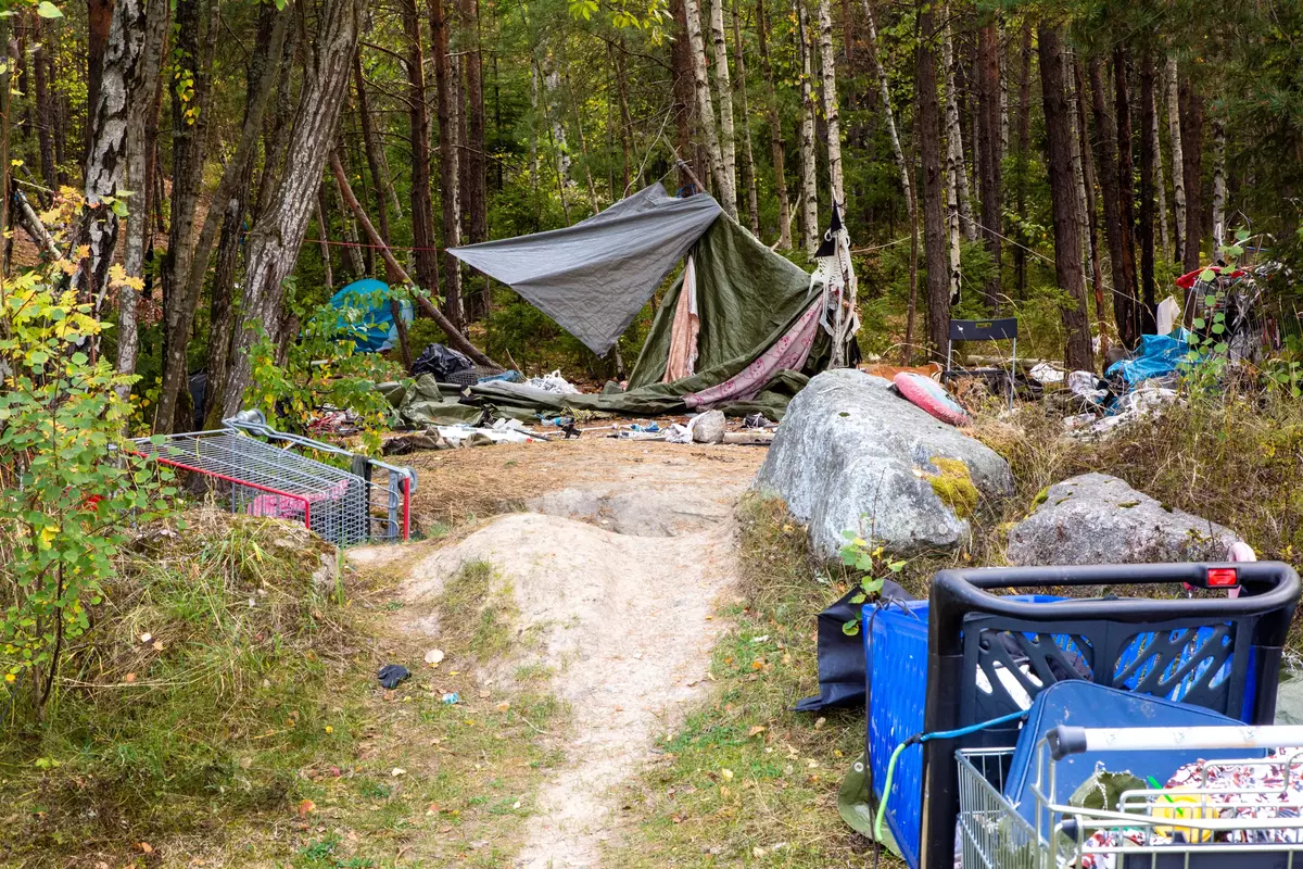 Spår av mänsklig verksamhet i skogsdungen i Kungens kurva. En tillfällig bostad.