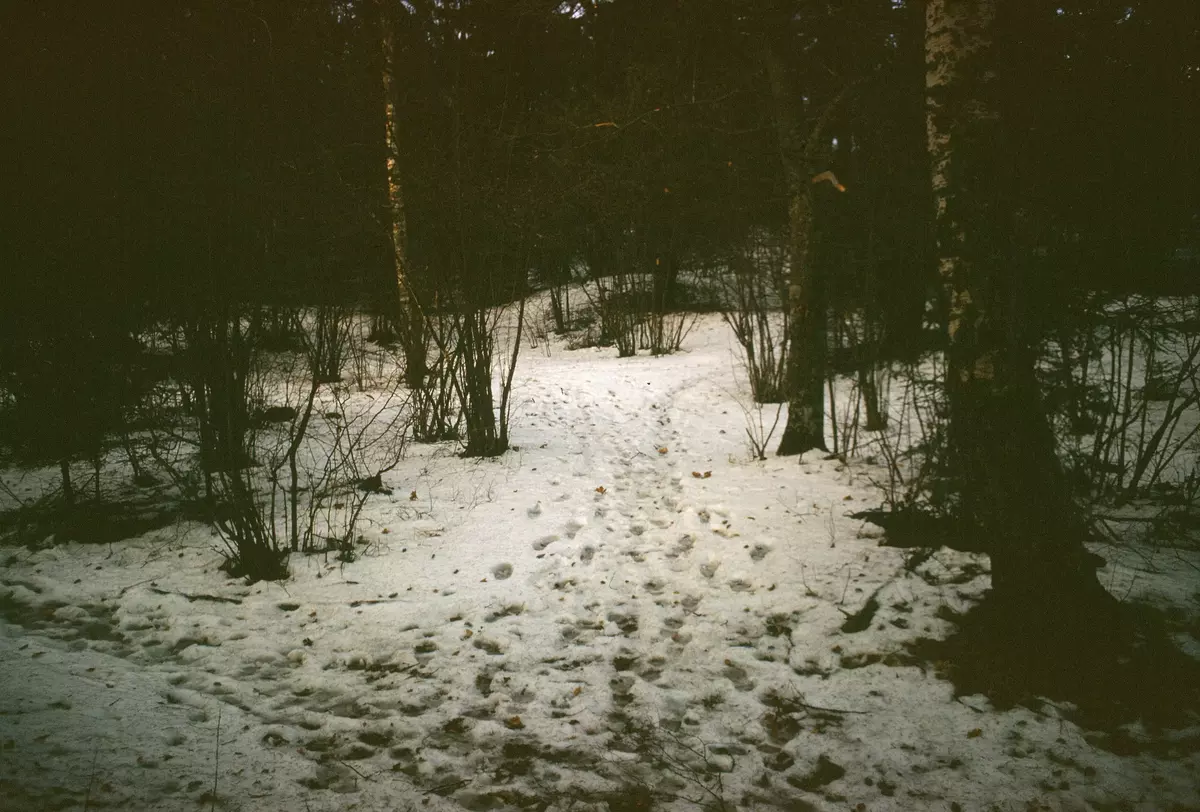 Sollentuna; gravfält S 70; före röjning