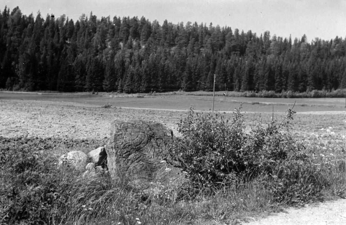 Nr 58. Runsten före flyttningen. - "Nu i Grödinge bygdegård."