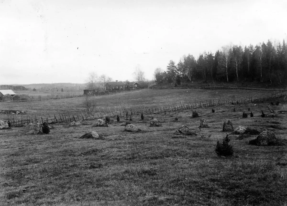 Nr 109:48. Domarring på gravfält vid Viads ladugård. Foto från V.